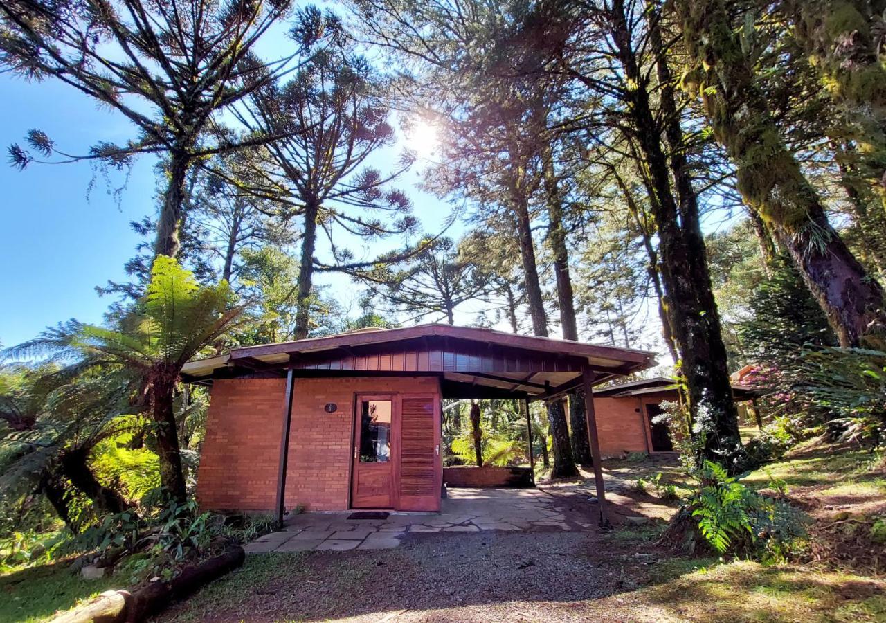 Estalagem Schmitt Haus Villa Canela Luaran gambar